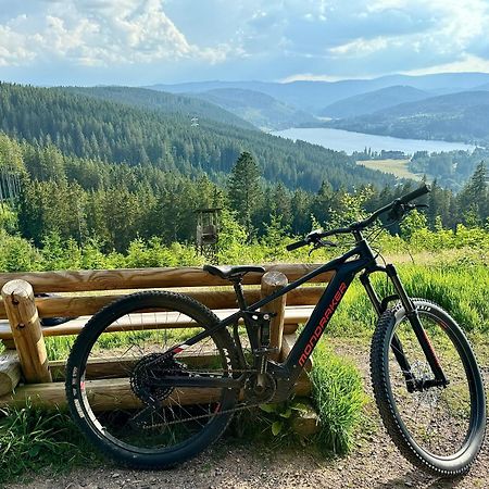 Fewo Fuchs Saig Lenzkirch Dış mekan fotoğraf