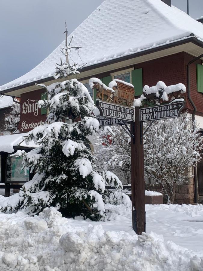 Fewo Fuchs Saig Lenzkirch Dış mekan fotoğraf