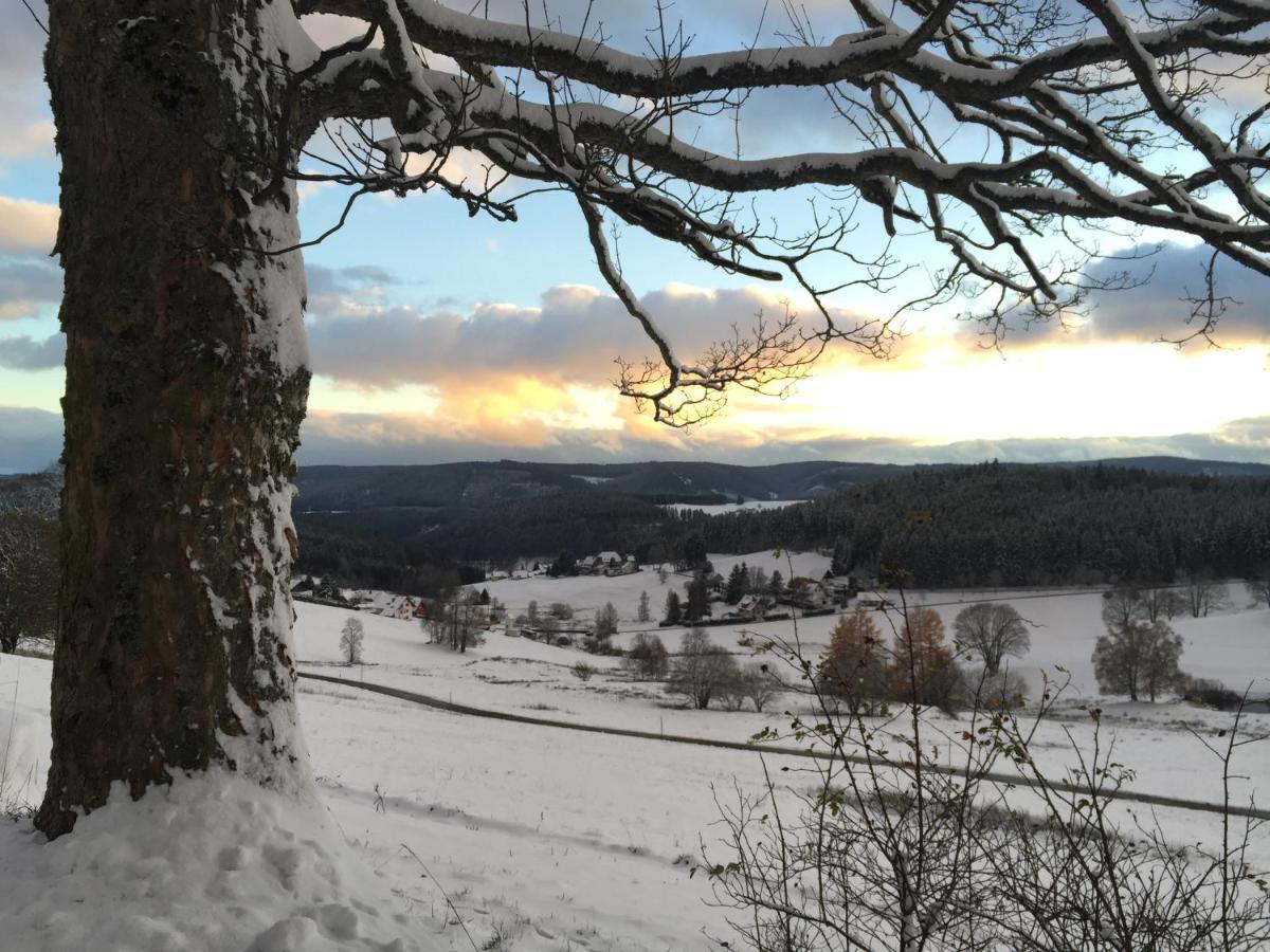 Fewo Fuchs Saig Lenzkirch Dış mekan fotoğraf