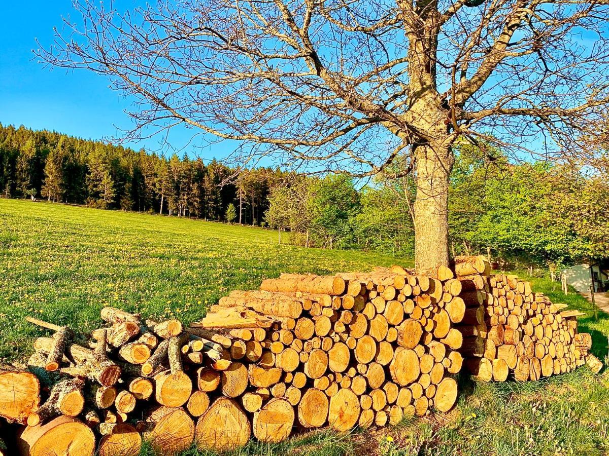 Fewo Fuchs Saig Lenzkirch Dış mekan fotoğraf