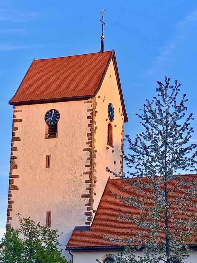 Fewo Fuchs Saig Lenzkirch Dış mekan fotoğraf