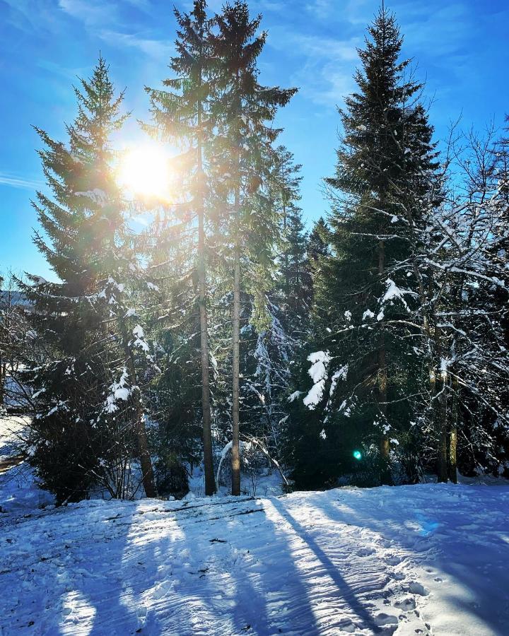 Fewo Fuchs Saig Lenzkirch Dış mekan fotoğraf