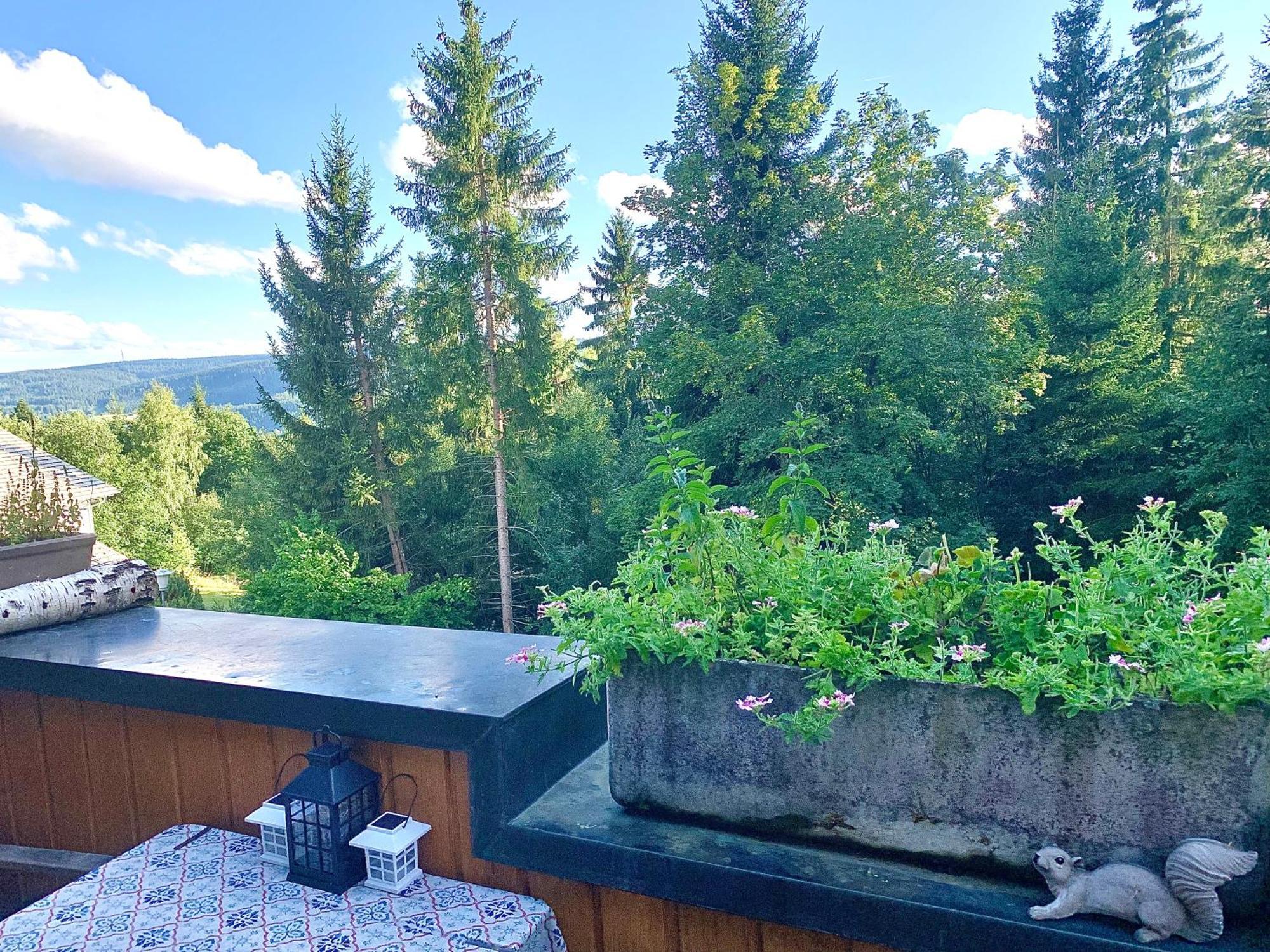 Fewo Fuchs Saig Lenzkirch Oda fotoğraf